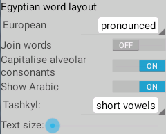 Arabic settings